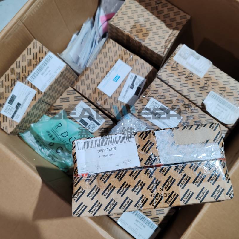 3001172100 Atlas Copco Check valve kit